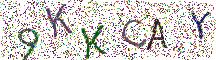 イメージ CAPTCHA