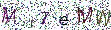 イメージ CAPTCHA
