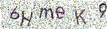イメージ CAPTCHA