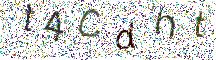 イメージ CAPTCHA