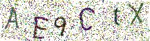 イメージ CAPTCHA