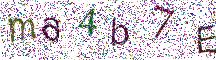 イメージ CAPTCHA