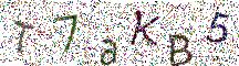 イメージ CAPTCHA