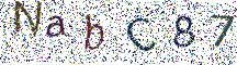 イメージ CAPTCHA