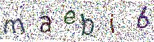 イメージ CAPTCHA