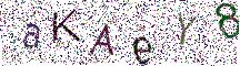 イメージ CAPTCHA