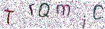 イメージ CAPTCHA