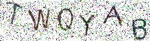 イメージ CAPTCHA