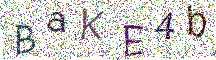 イメージ CAPTCHA