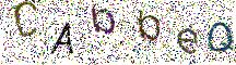 イメージ CAPTCHA