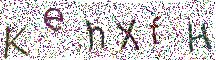 イメージ CAPTCHA