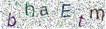 イメージ CAPTCHA