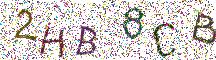 イメージ CAPTCHA