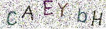 イメージ CAPTCHA