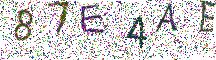 イメージ CAPTCHA