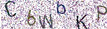 イメージ CAPTCHA
