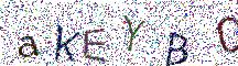 イメージ CAPTCHA