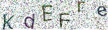 イメージ CAPTCHA