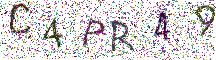 イメージ CAPTCHA
