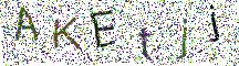 イメージ CAPTCHA