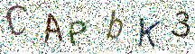 イメージ CAPTCHA