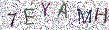 イメージ CAPTCHA