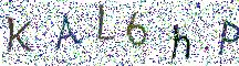 イメージ CAPTCHA