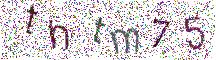 イメージ CAPTCHA