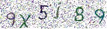 イメージ CAPTCHA