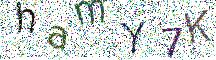 イメージ CAPTCHA