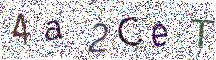 イメージ CAPTCHA