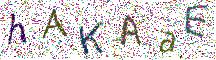 イメージ CAPTCHA