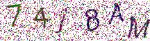 イメージ CAPTCHA