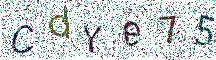 イメージ CAPTCHA