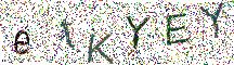 イメージ CAPTCHA