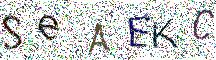 イメージ CAPTCHA