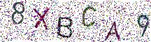 イメージ CAPTCHA