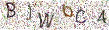 イメージ CAPTCHA
