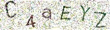イメージ CAPTCHA