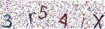 イメージ CAPTCHA
