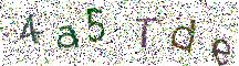 イメージ CAPTCHA