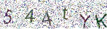 イメージ CAPTCHA