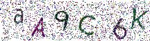イメージ CAPTCHA