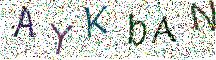 イメージ CAPTCHA