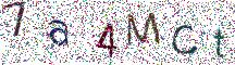 イメージ CAPTCHA