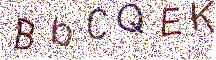 イメージ CAPTCHA