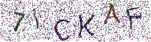 イメージ CAPTCHA