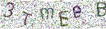 イメージ CAPTCHA