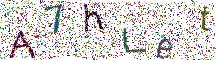 イメージ CAPTCHA