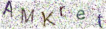 イメージ CAPTCHA
